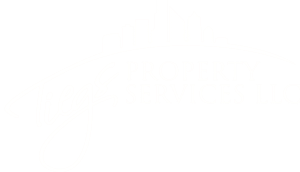 Logo for Tiegs Property Services LLC featuring a city skyline silhouette above the company name in stylized white text on a light background.